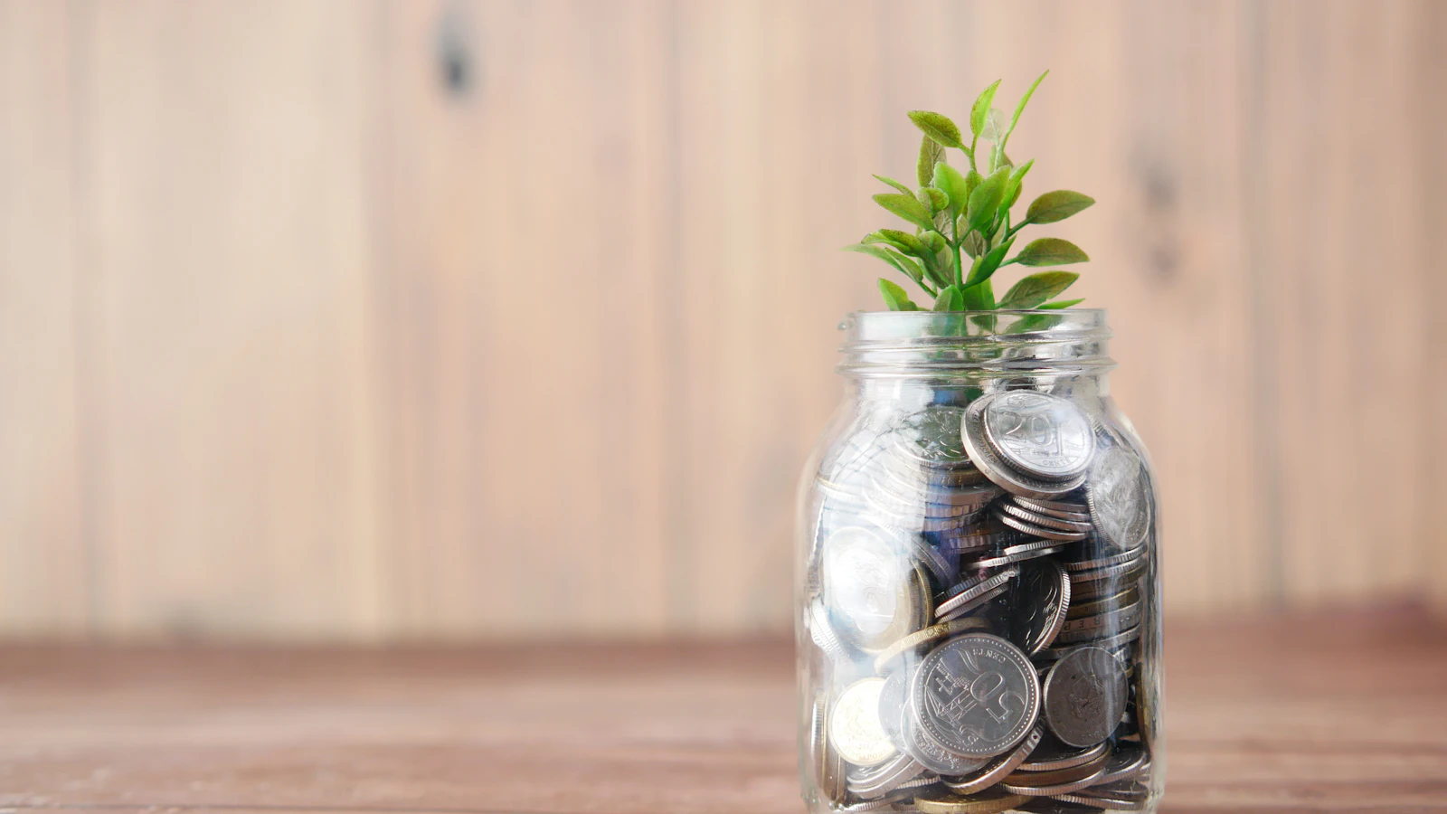 A glass jar filled with coins and a small plant